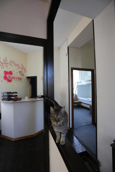 A la foto es mostra l'objecte Sakura Inn situat a la ciutat de Fergana.