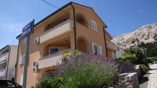 Ara-ninja - Baška
