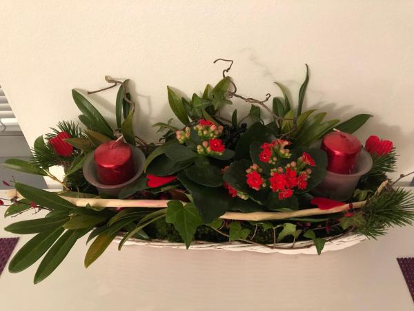 Fotografia 9: Elf
