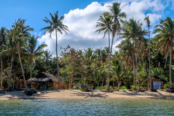 A la foto es mostra l'objecte Efrena Agro Tourism Beach situat a la ciutat de Barangonan.