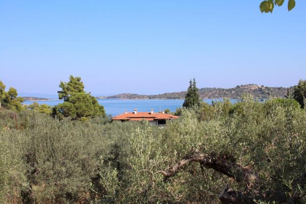 Foto 5: PHILIPPOS 2