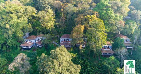 Na zdjęciu widoczny jest obiekt The Tall Trees położony w mieście Munnar.