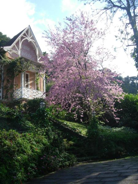 写真にはペトロポリス市にあるVilla Violetaが写っています。