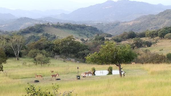 A la foto es mostra l'objecte @Nature Luxury Cottages situat a la ciutat de Guthrie.
