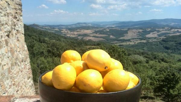 Nella foto è visibile l'oggetto Podere Lama situato nella città di Montecerboli.