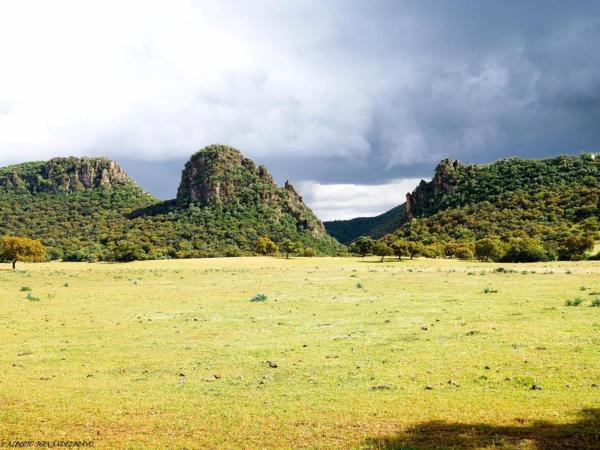 A la foto es mostra l'objecte Casa Rural Finca Los Conventos en Adamuz CORDOBA situat a la ciutat de Adamuz.
