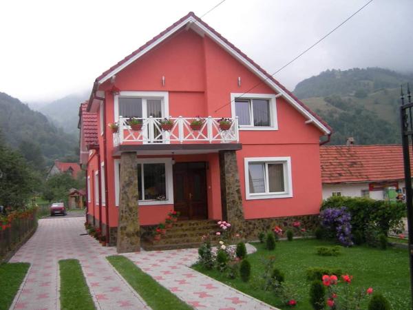 Na zdjęciu widoczny jest obiekt Pensiunea Denisa Stoian położony w mieście Moieciu de Jos.