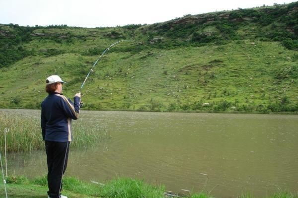A la foto es mostra l'objecte MacFarlanes situat a la ciutat de Harrismith.