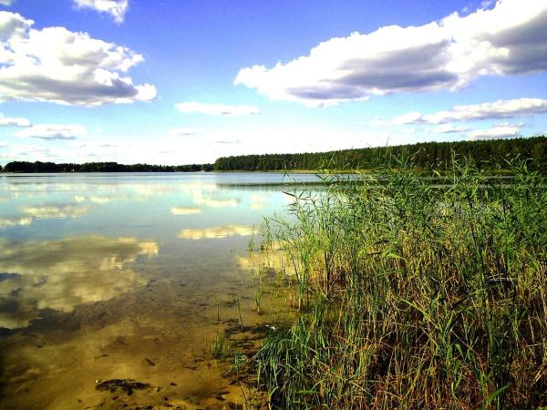 A la foto es mostra l'objecte OŚRODEK WYPOCZYNKOWY OAZA situat a la ciutat de Kuźnica Zbąska.
