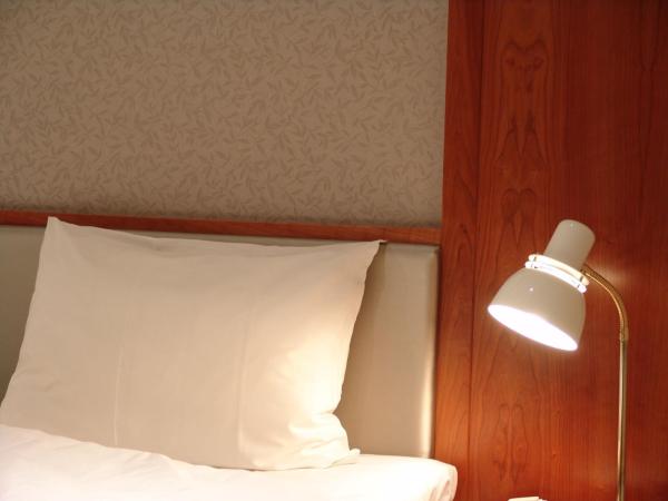写真にはSeim市にあるAlver Hotelが写っています。