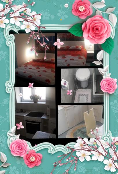 Photo 2 : Apartment Voortex