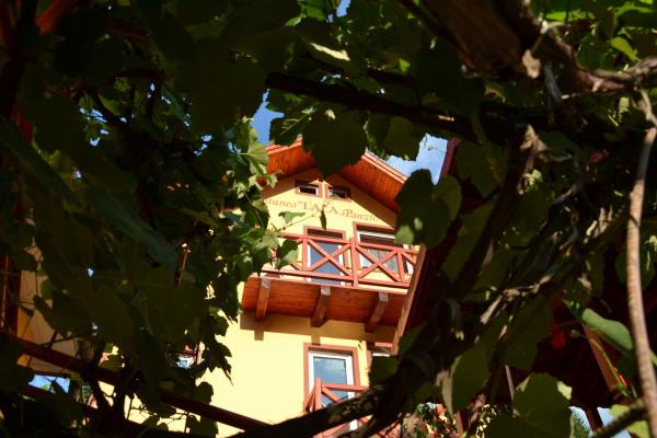照片显示了位于Băile Tuşnad市的Pensiunea Lala物件。