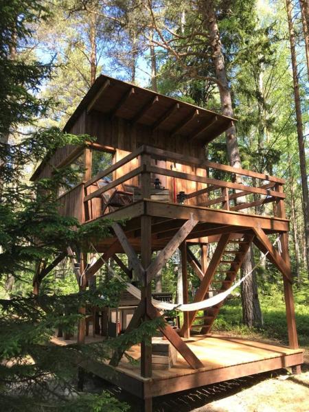 Na zdjęciu widoczny jest obiekt Tahkuna tree-house położony w mieście Malvaste.