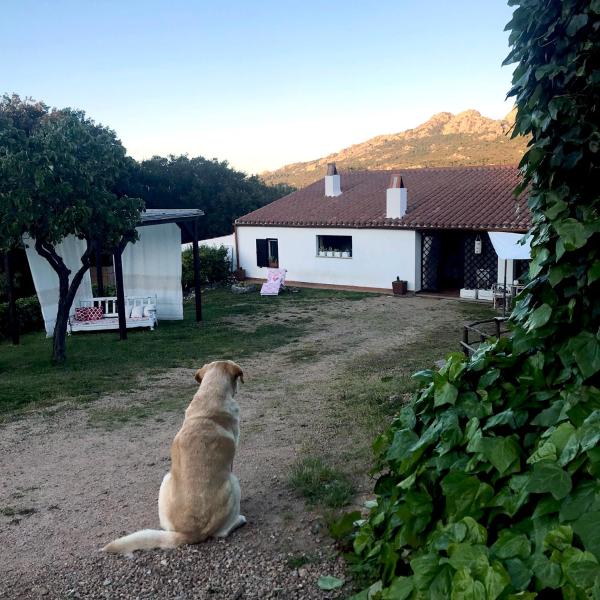 Nella foto è visibile l'oggetto B&B La Tasgia situato nella città di Aggius.