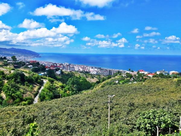 På billedet ses objektet Paradise Villa Trabzon beliggende i byen Trabzon.