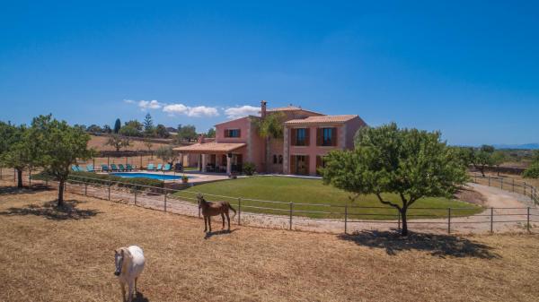 The photo shows the Manacor-2898-65 Mallorca located in the city of Manacor.