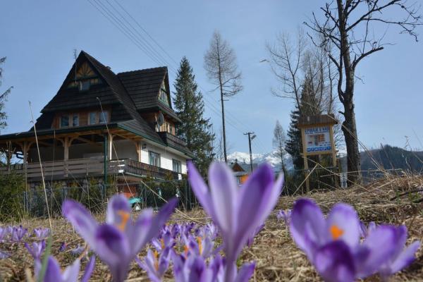 A la foto es mostra l'objecte Pokoje u Kasi przy Dol. Chochołowskiej situat a la ciutat de Witów.