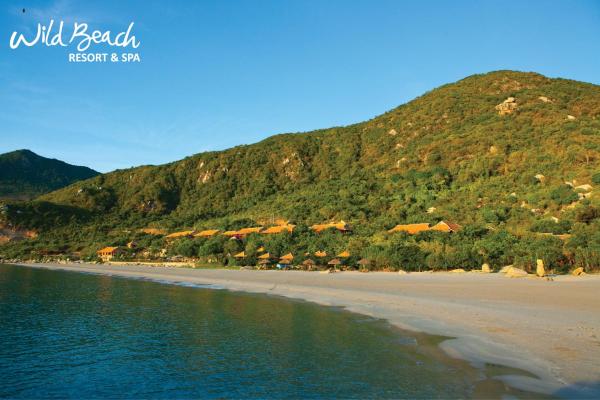 Wild Beach Boutique Resort