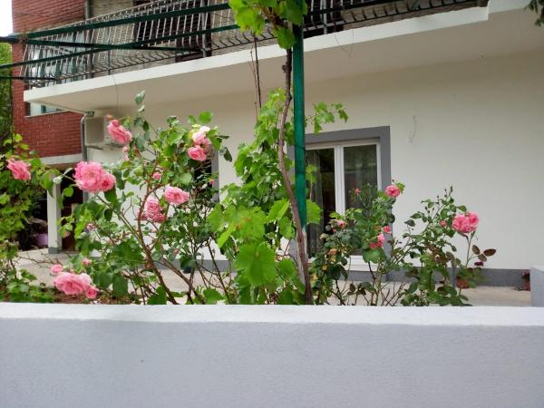 A la foto es mostra l'objecte Apartmani Alma situat a la ciutat de Dubravice.