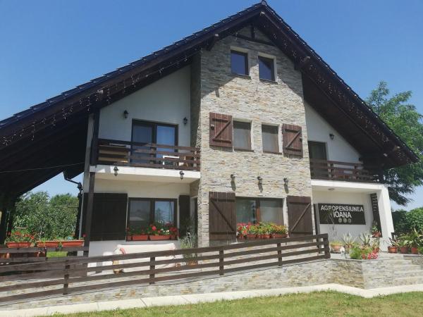 Nella foto è visibile l'oggetto Agropensiunea Ioana situato nella città di Suceava.