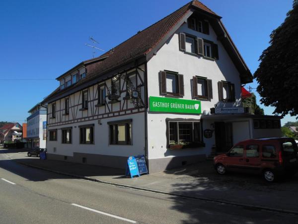 A la foto es mostra l'objecte Grüner Baum situat a la ciutat de Stetten.