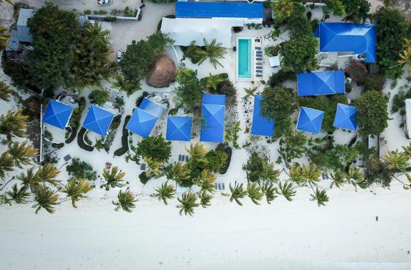 A la foto es mostra l'objecte Indigo Beach Zanzibar situat a la ciutat de Bwejuu.