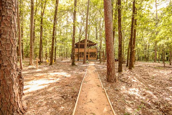 A la foto es mostra l'objecte The Tree House situat a la ciutat de Tyler.