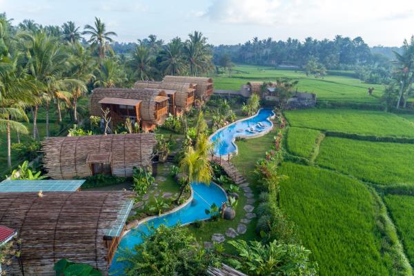 Beehouse Dijiwa Ubud, Ubud