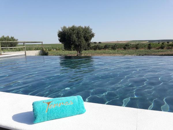 A la foto es mostra l'objecte Terras - Agroturismo & Vinhos situat a la ciutat de Beja.