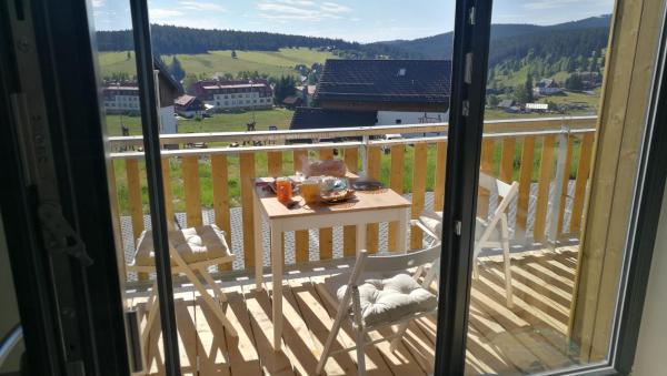 Apartmán Pod Lapkou - Neuschönau