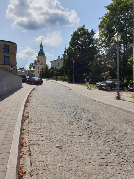 Zdjęcie 8: Kobi