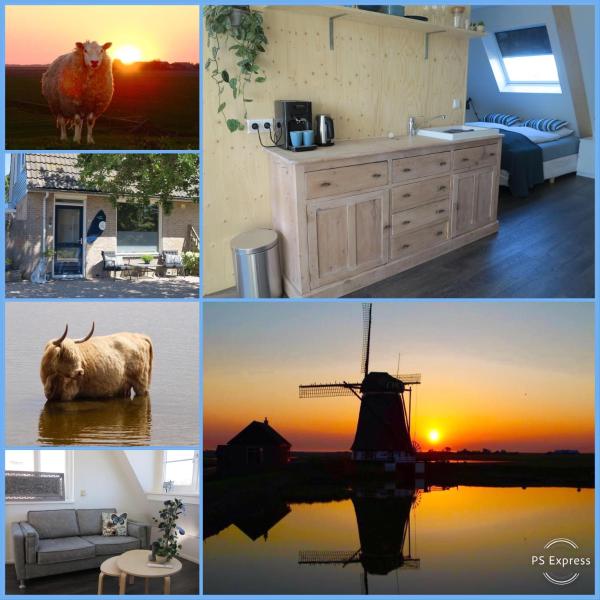 Na zdjęciu widoczny jest obiekt B&B Zonnedael położony w mieście Oost.