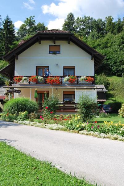 Apartment Stefelin - Bled