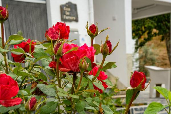 Na zdjęciu widoczny jest obiekt Casa do Ferreiro położony w mieście Póvoa.