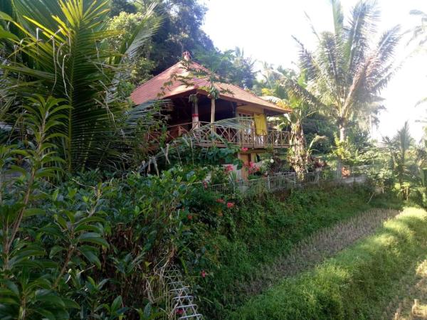 The photo shows the Babahan Farmstay located in the city of Tabanan.
