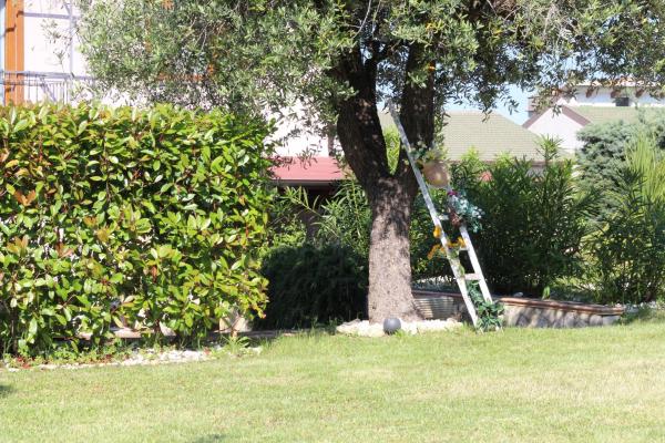 Photo 9 : Bed & Breakfast Mafi