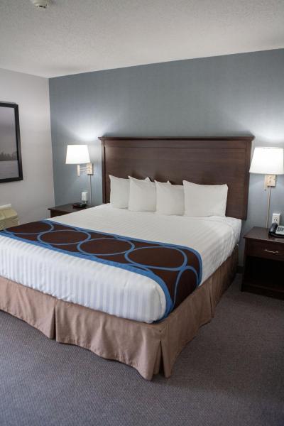 Photo 5 : Super 8 by Wyndham Port Elgin