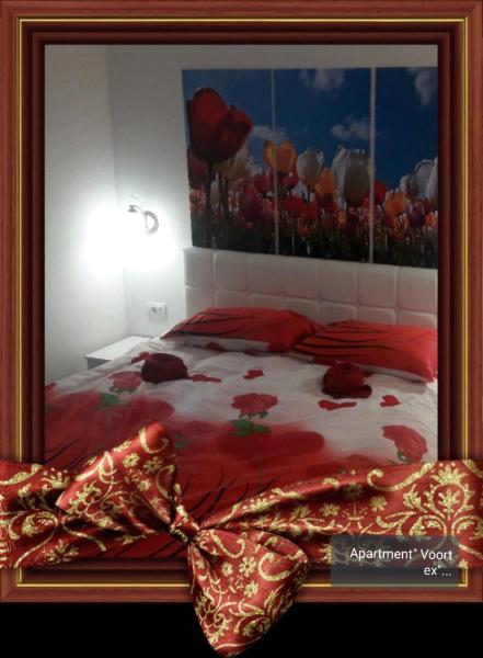 Photo 3 : Apartment Voortex