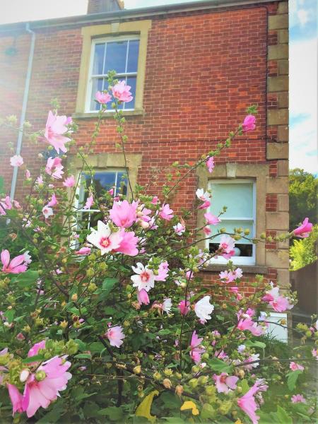 A la foto es mostra l'objecte Bridport Garden Suite situat a la ciutat de Bradpole.