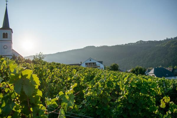 På bildet vises objektet Weingut Johanneshof som ligger i byen Minheim.