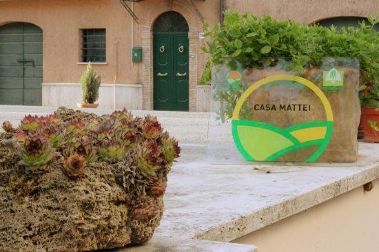 Agriturismo Casa Mattei - Umbria