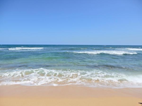 Foto 7: Islander on the Beach 352 OCEANFRONT *PENTHOUSE* AC Pool