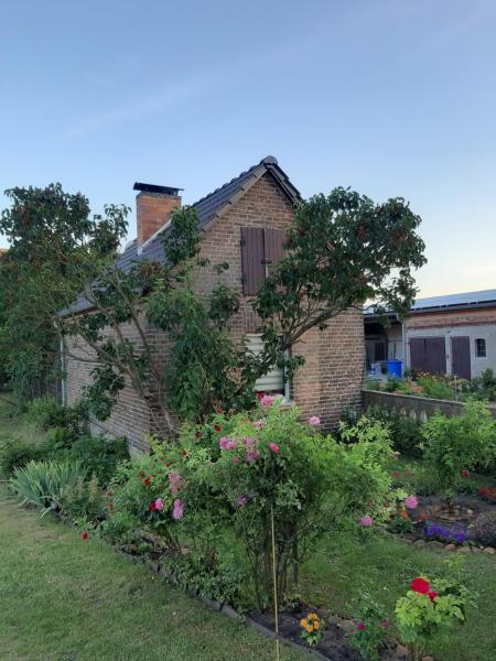 A la foto es mostra l'objecte Zur alten Sommerküche situat a la ciutat de Markische Heide.
