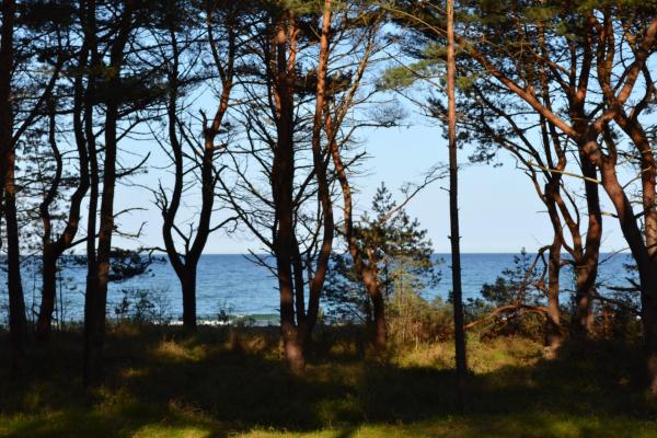 A la foto es mostra l'objecte Arkona-Meeresblick am Prorer Wiek situat a la ciutat de Binz.