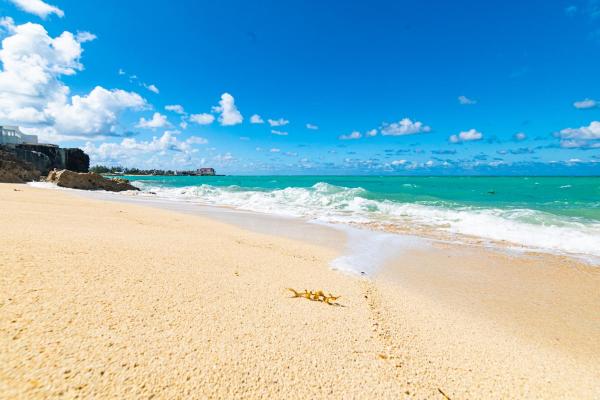 Фотография 6: Studio 7 - Oceanfront Apartment