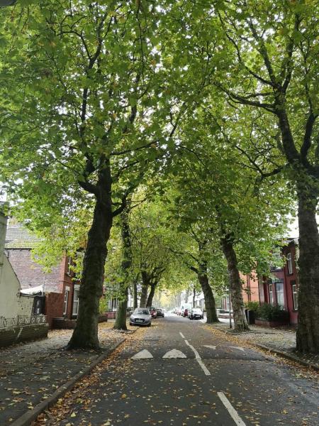 Liverpool townhouse, Liverpool