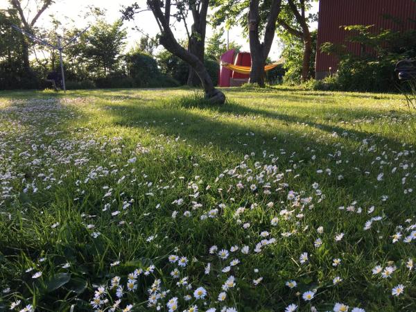 Bild 8: Langagergaard B&B - Thy