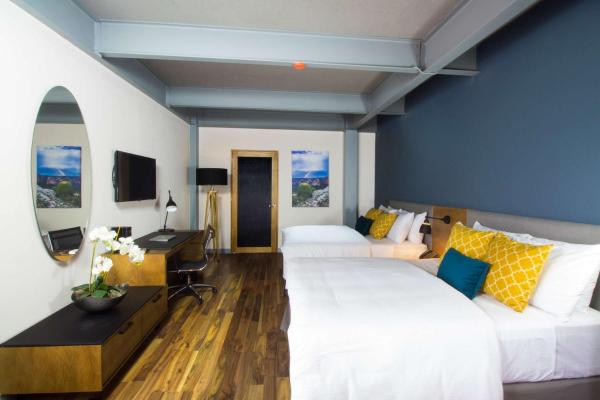 Fotografia 4: TRYP by Wyndham San Luis Potosi Hotel & Suites
