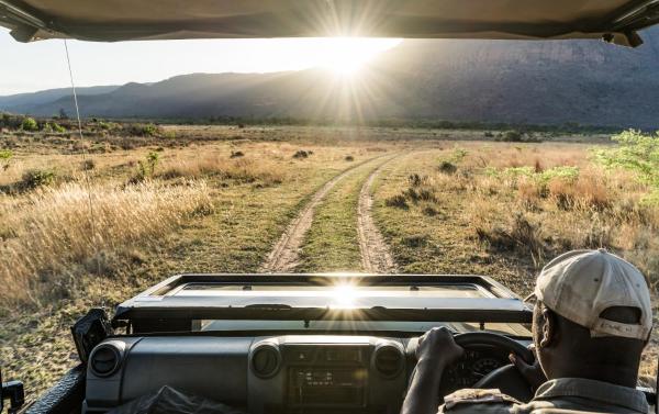 Na zdjęciu widoczny jest obiekt Wildside Safari Camp położony w mieście Bracondale.
