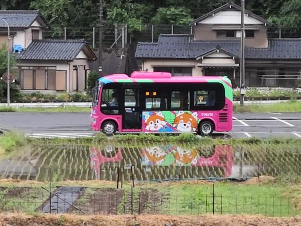 田舎生活体験福井県観光者向け古民家的照片9